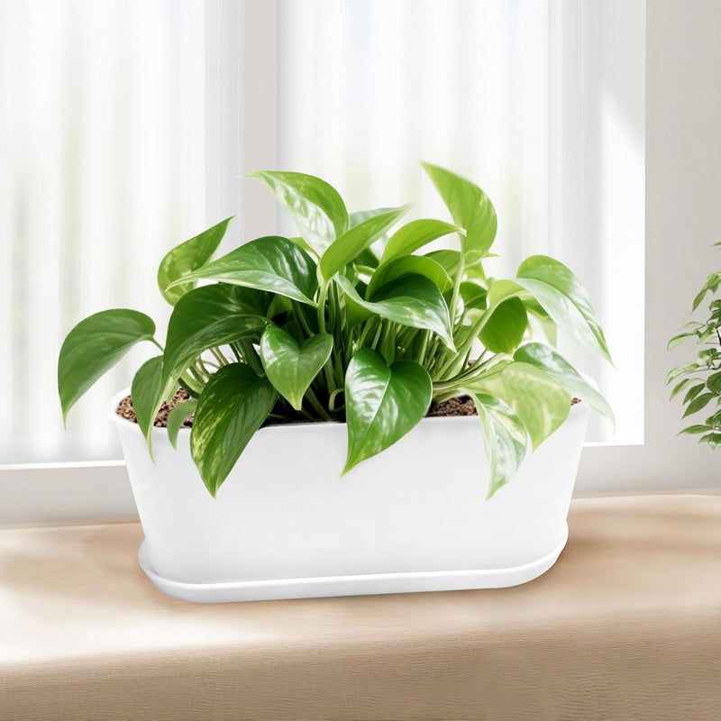 Torfican 5 Set Window Herb Planter Box Rectangular,8.5x3.5 Inch White Plastic Planters with Multiple Drainage Holes and Trays,Indoor Succulent Cactus Mint Flower Pot for Windowsill,Garden Balcony - Image 5